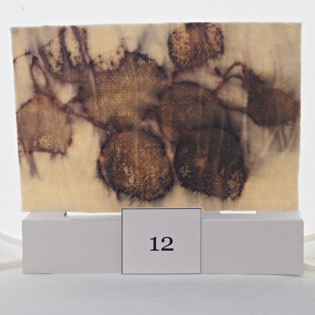 Eco-dyed-panel#12