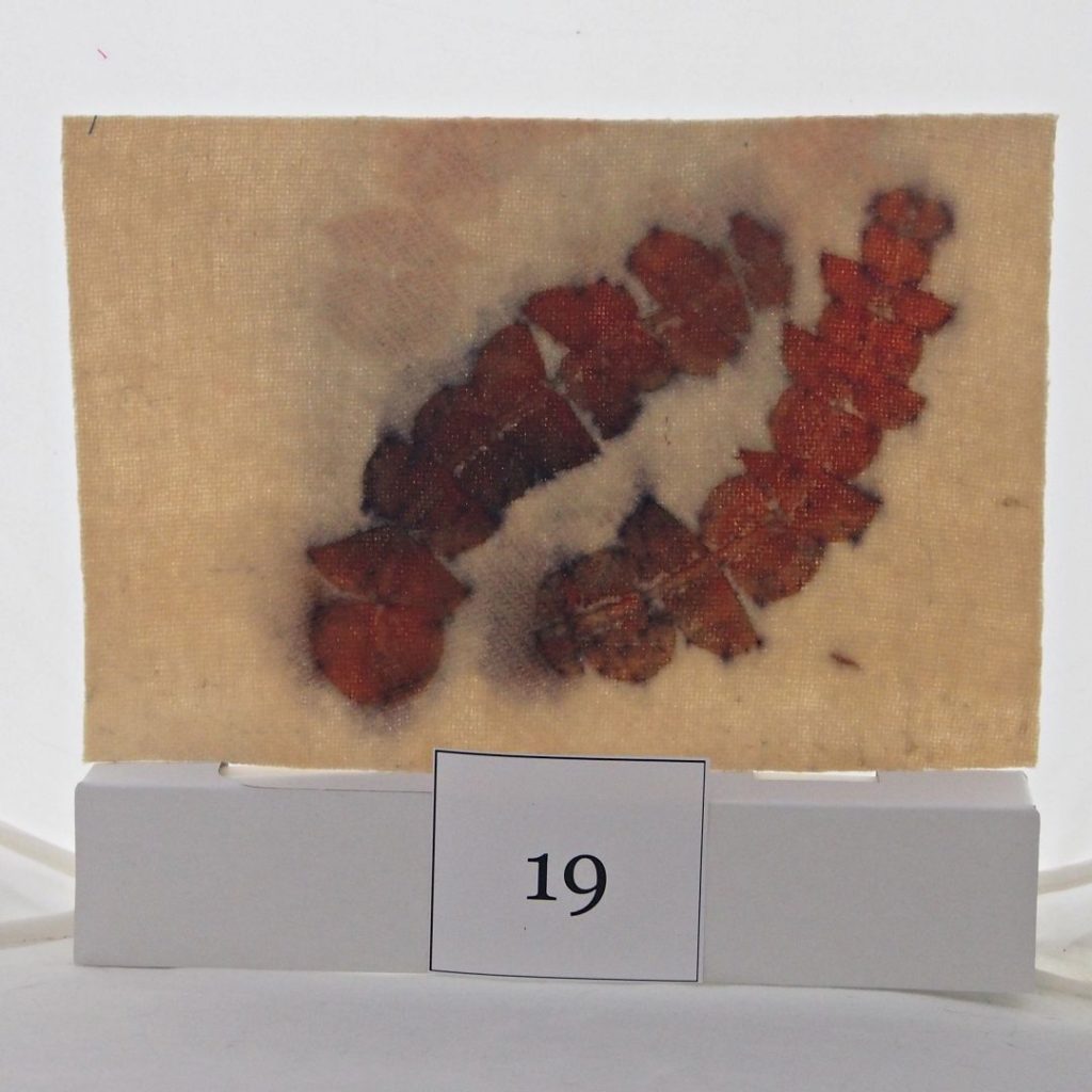 Eco-dyed-panel#19